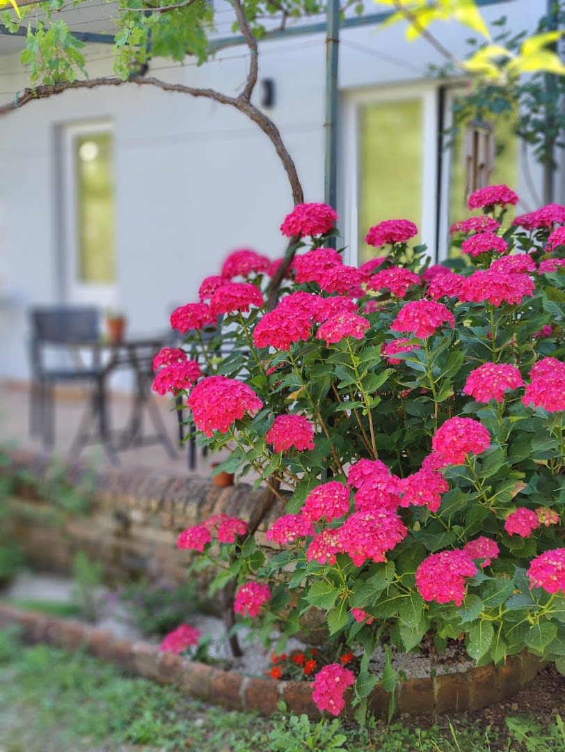 Miro Guesthouse photo 3
