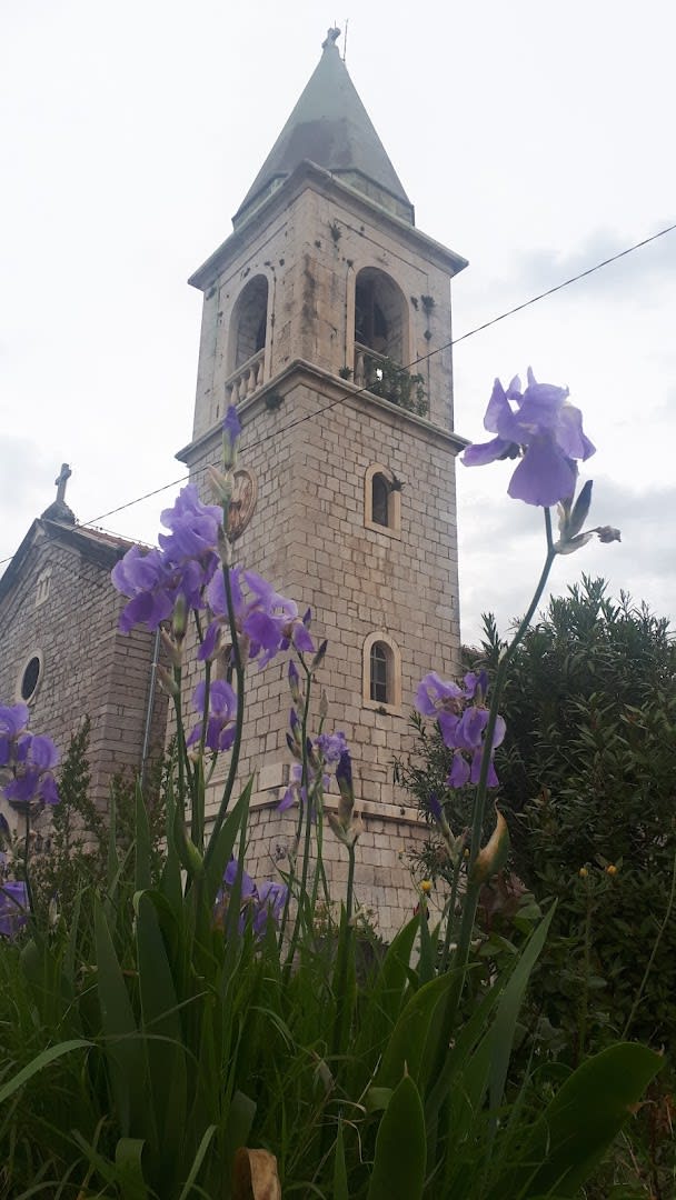 Saint Roch Church photo 6