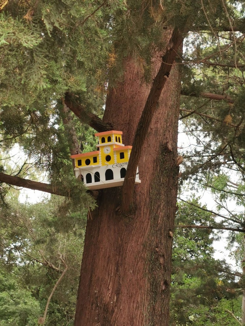 Large Town Park photo 8