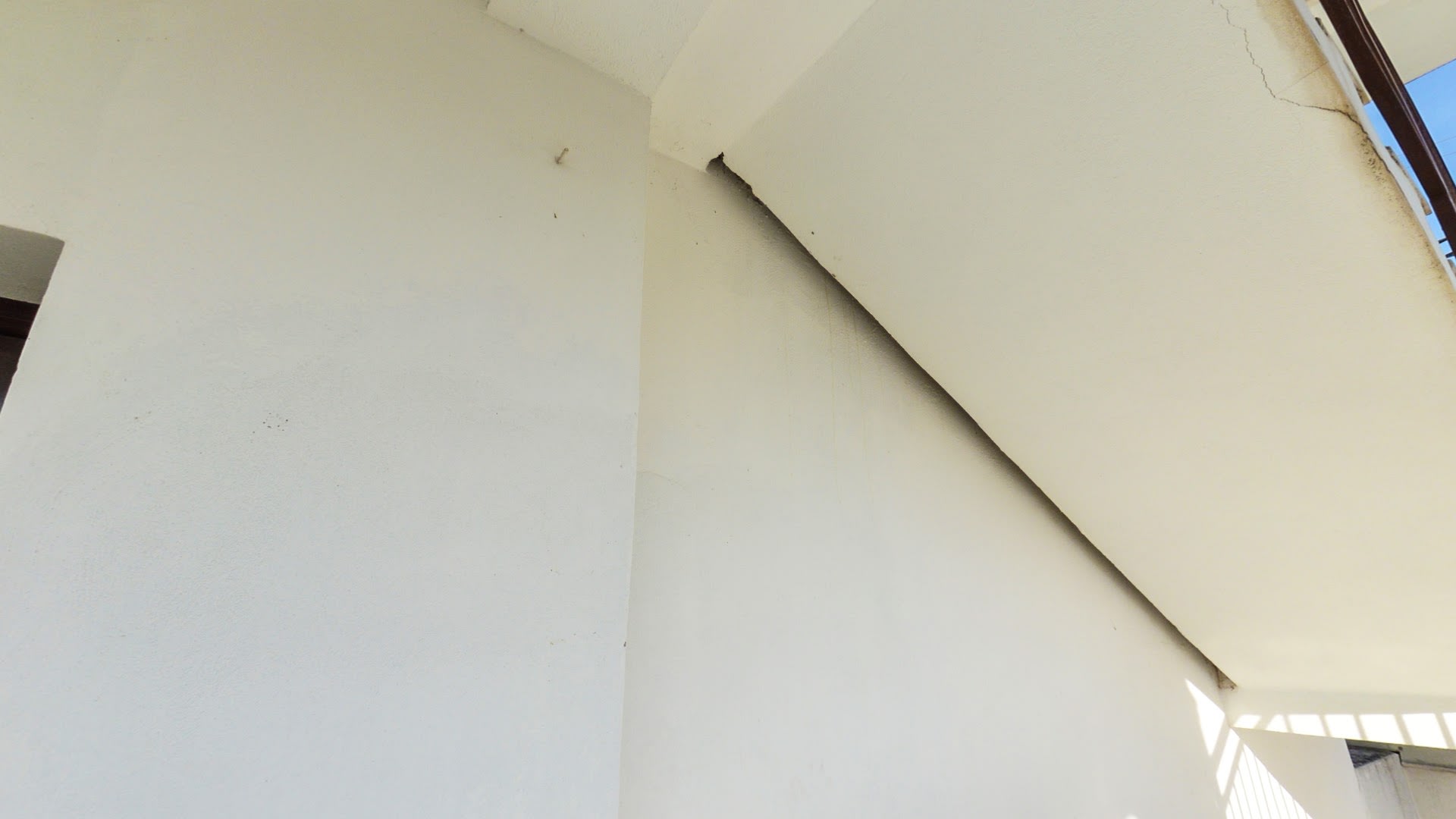 DentArt photo 4