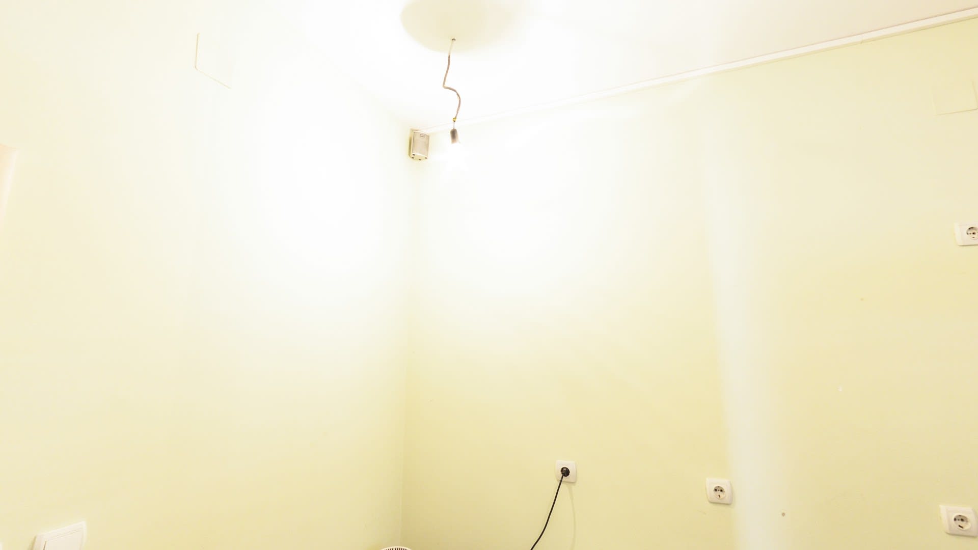 DentArt photo 5