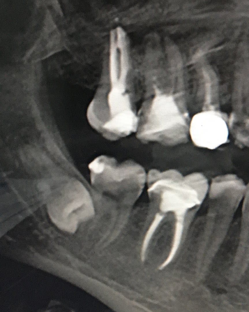 Dental Expert photo 8