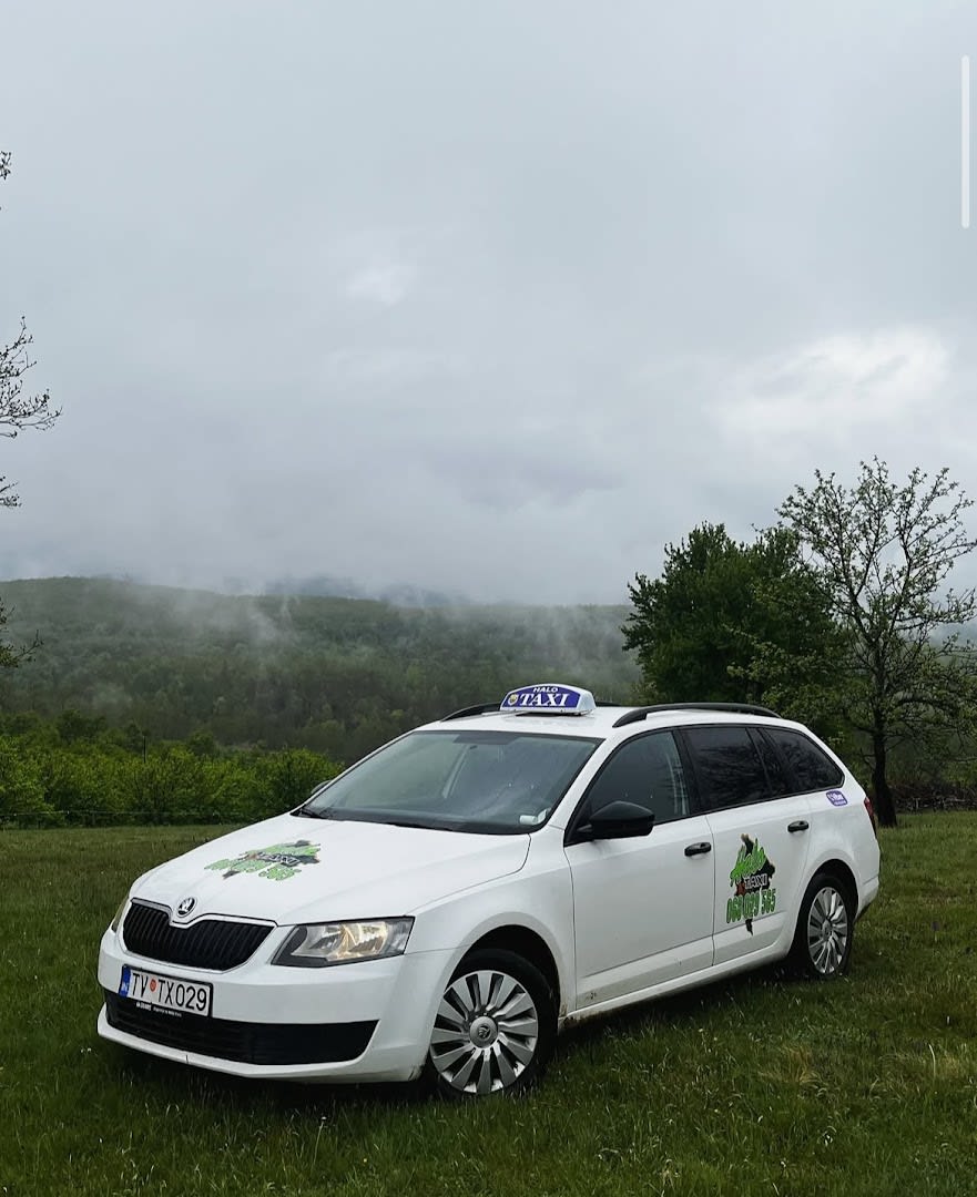 Halo Taxi photo 7