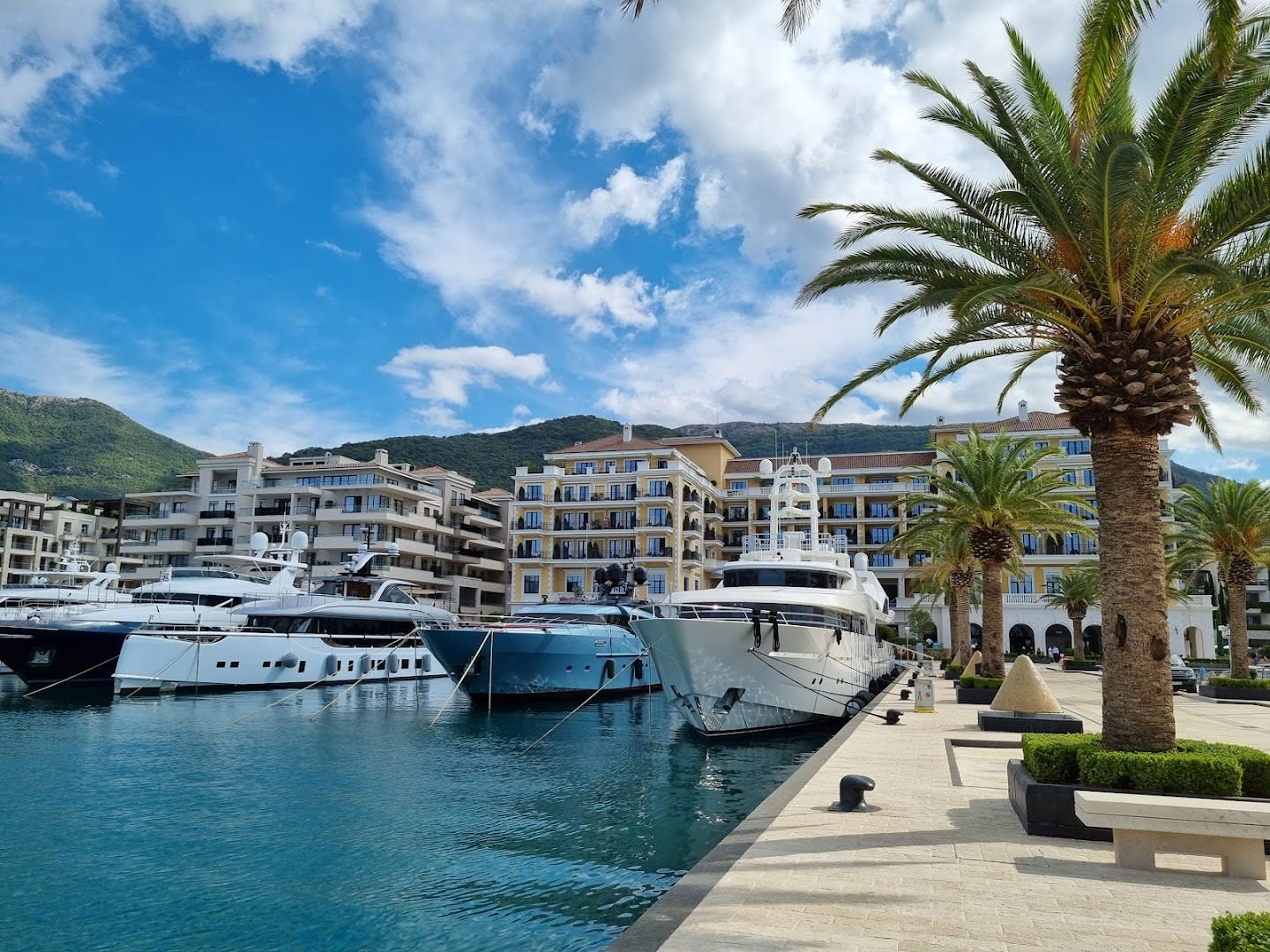 Porto Montenegro Marina photo 2