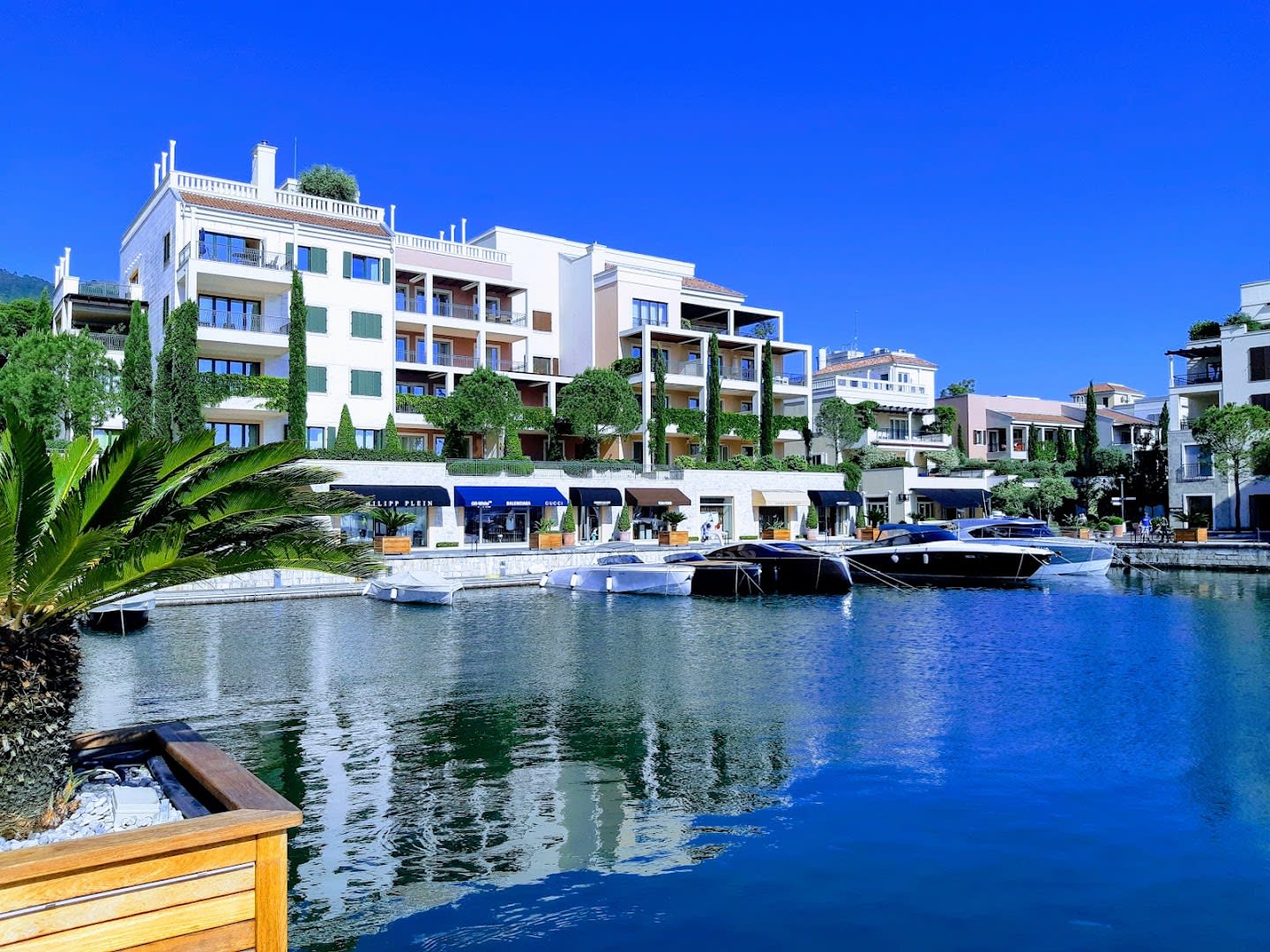 Porto Montenegro Marina photo 4