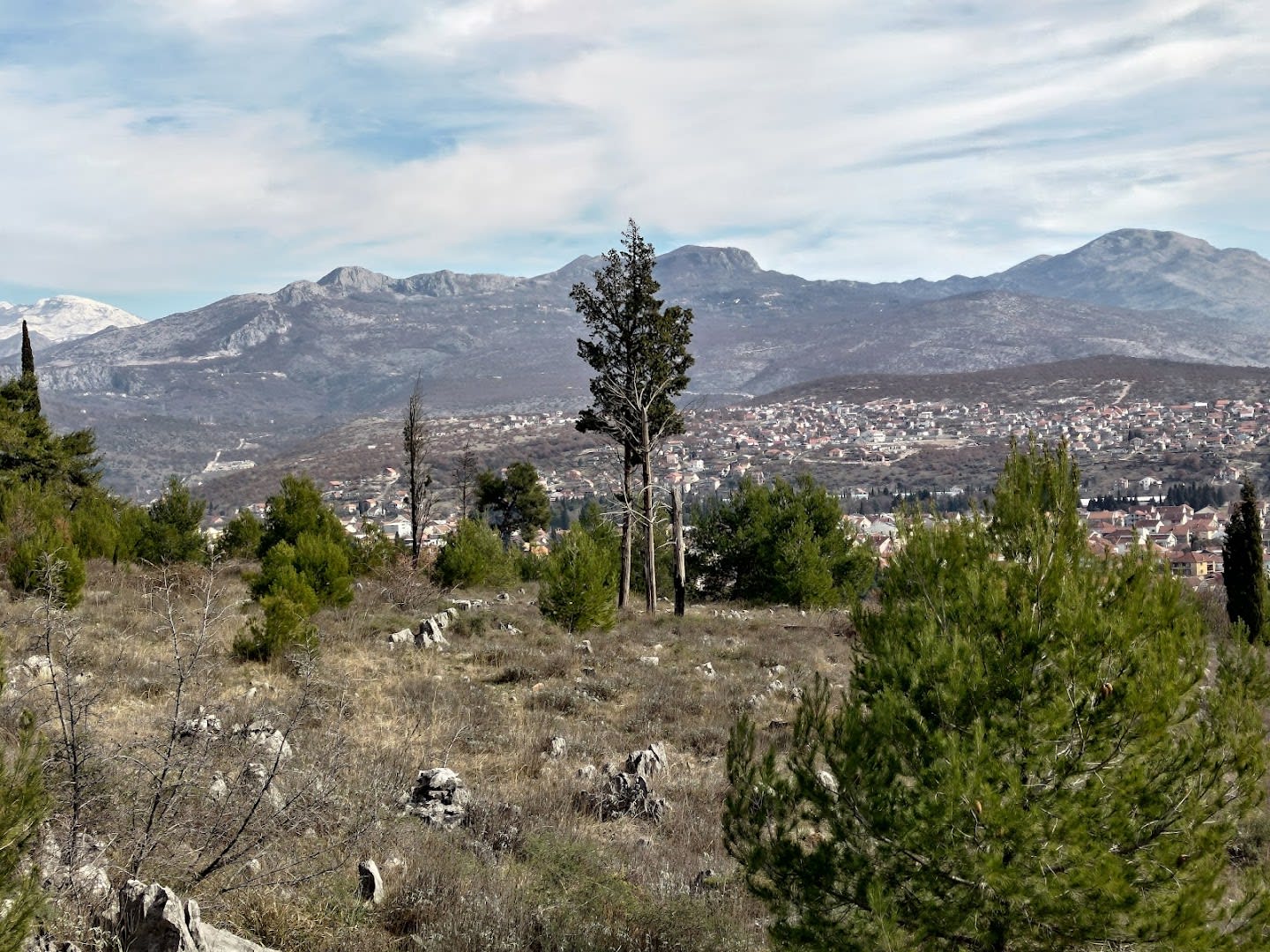 Park Forest Gorica photo 5