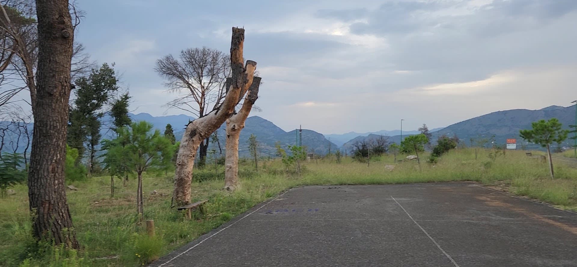 Park Forest Gorica photo 7