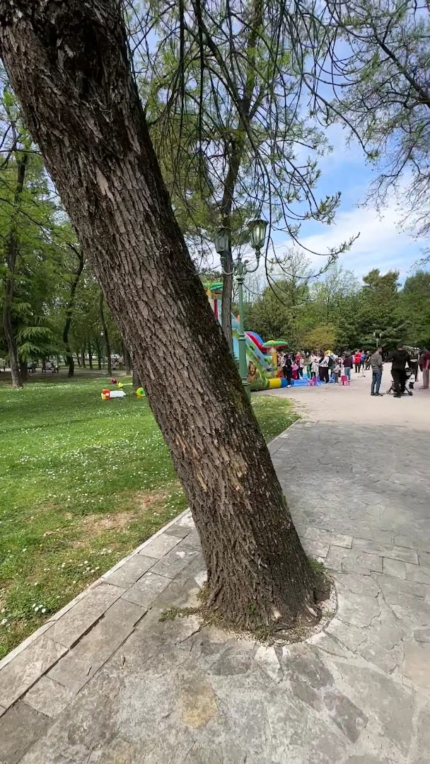 Dječiji Park photo 7