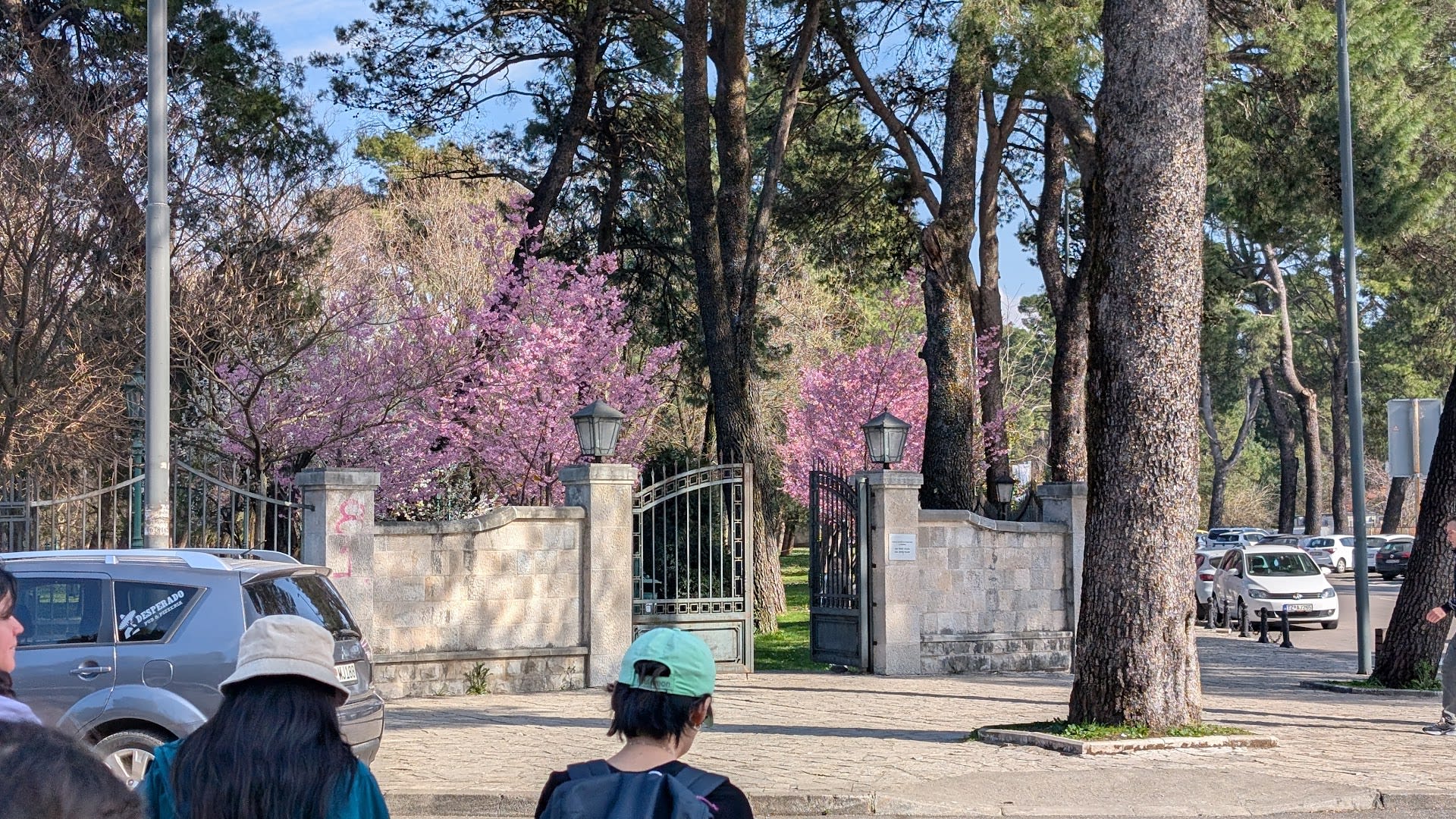 Dječiji Park photo 9