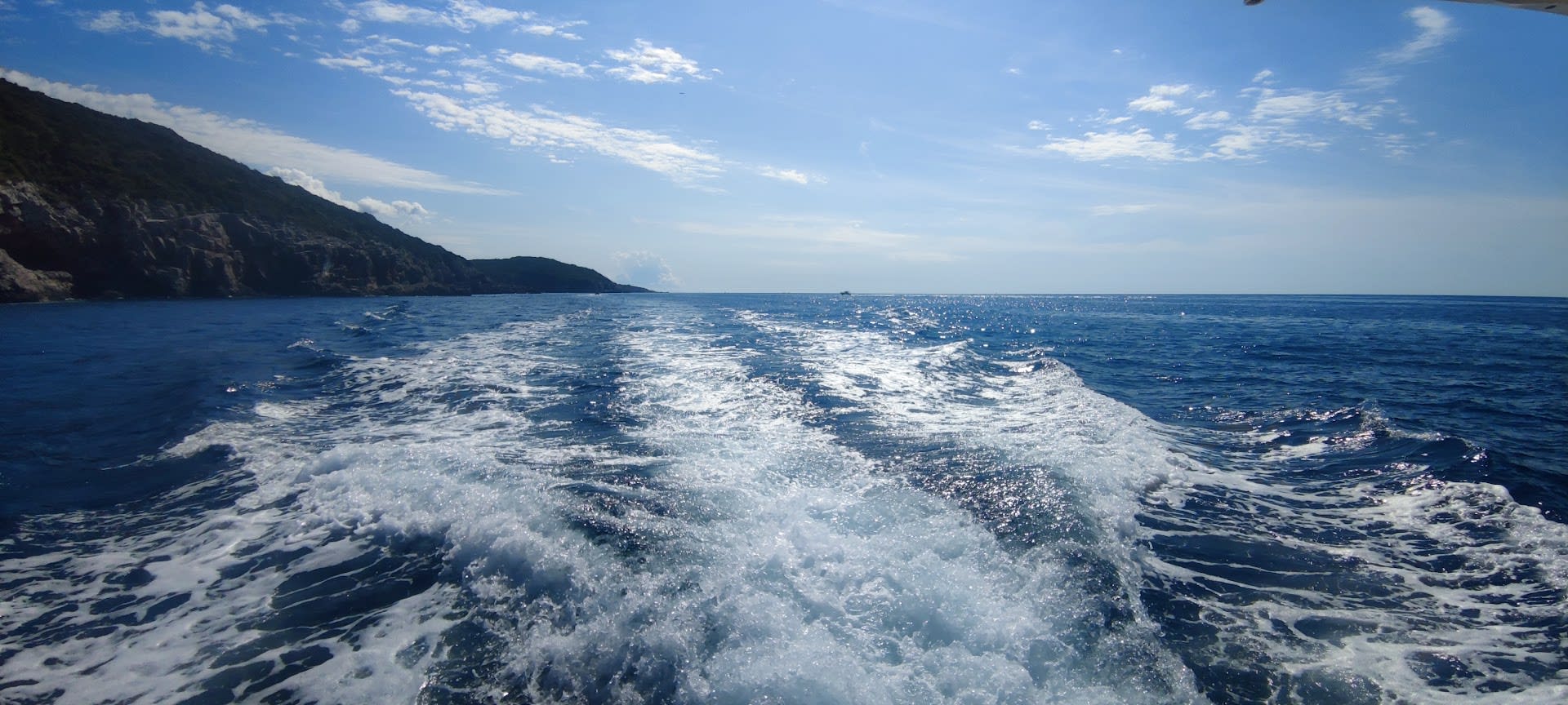 Barba Boats photo 5