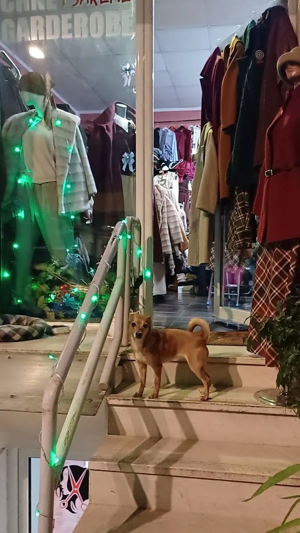 Butik Crne Garderobe photo 1