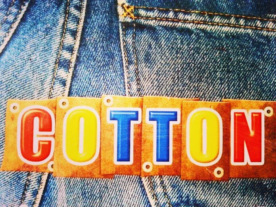 Cotton photo 8