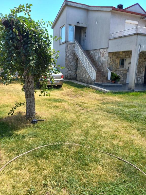 Hostel Dragana photo 6