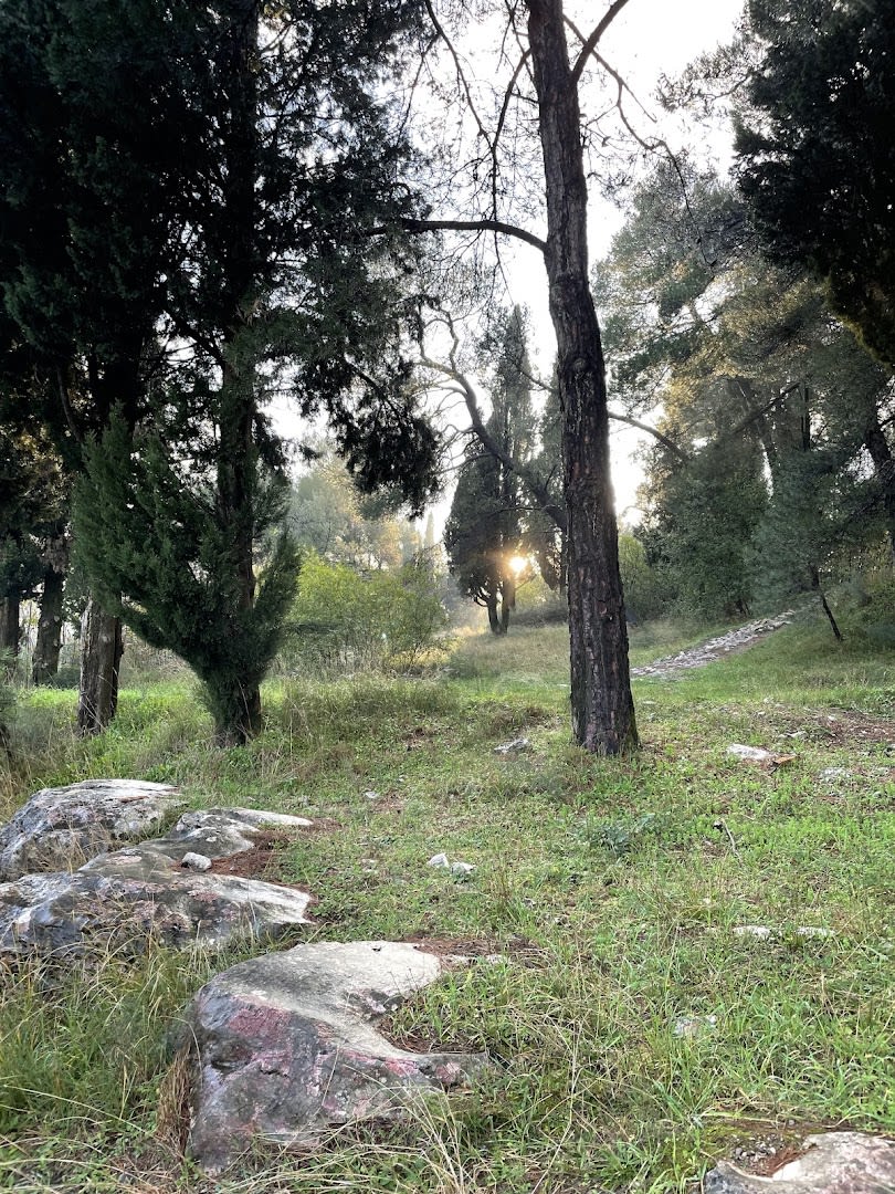 Park Ljubović photo 5