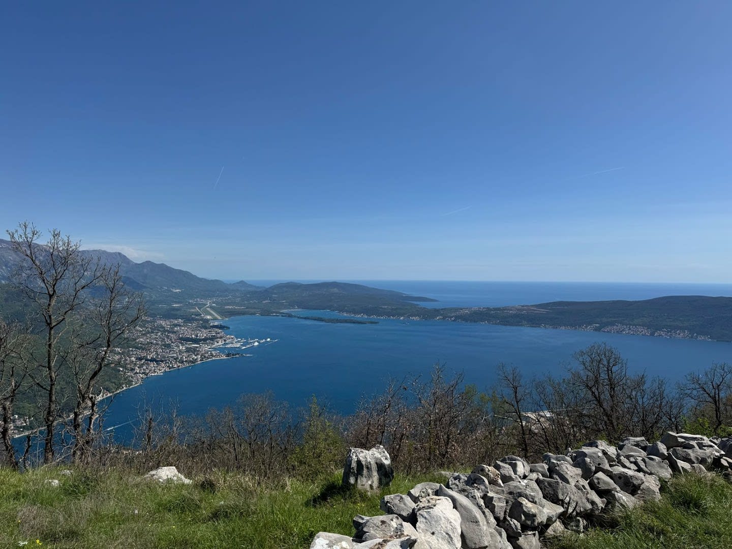 Monte Vista Travel photo 6
