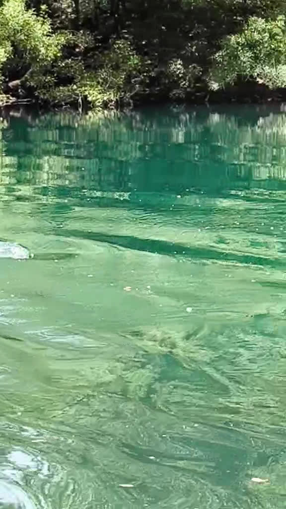 Vranjske Njive Kupalište photo 1