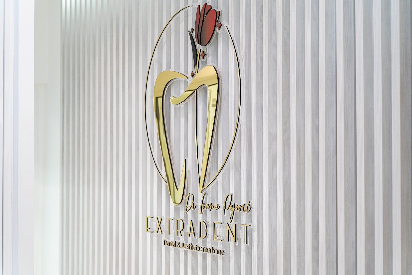 Extradent photo 7