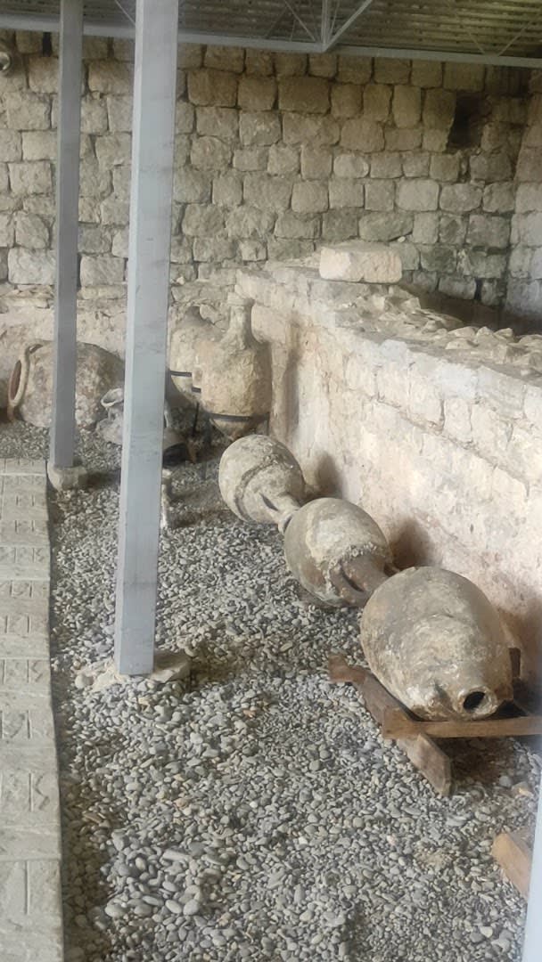 Risan Roman Mosaics photo 7