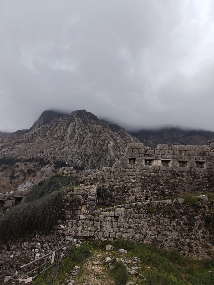 Bfz Bajlo Kotor photo 3