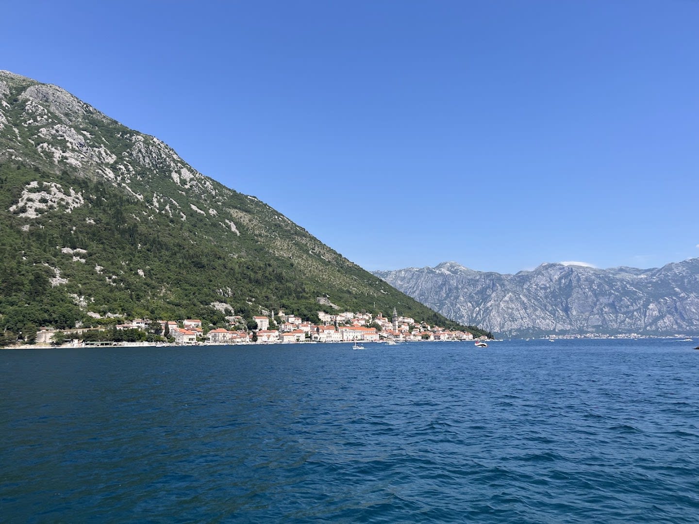 Scoot Lust Scooter Rental Kotor photo 4