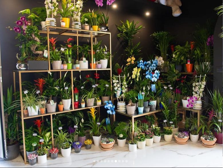 Flower Shop Laziva Tivat- Cvjecara Laziva photo 2