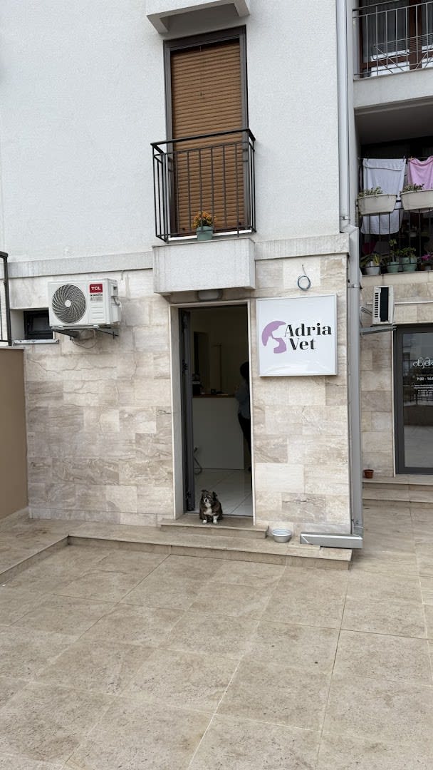 Adria Vet photo 2