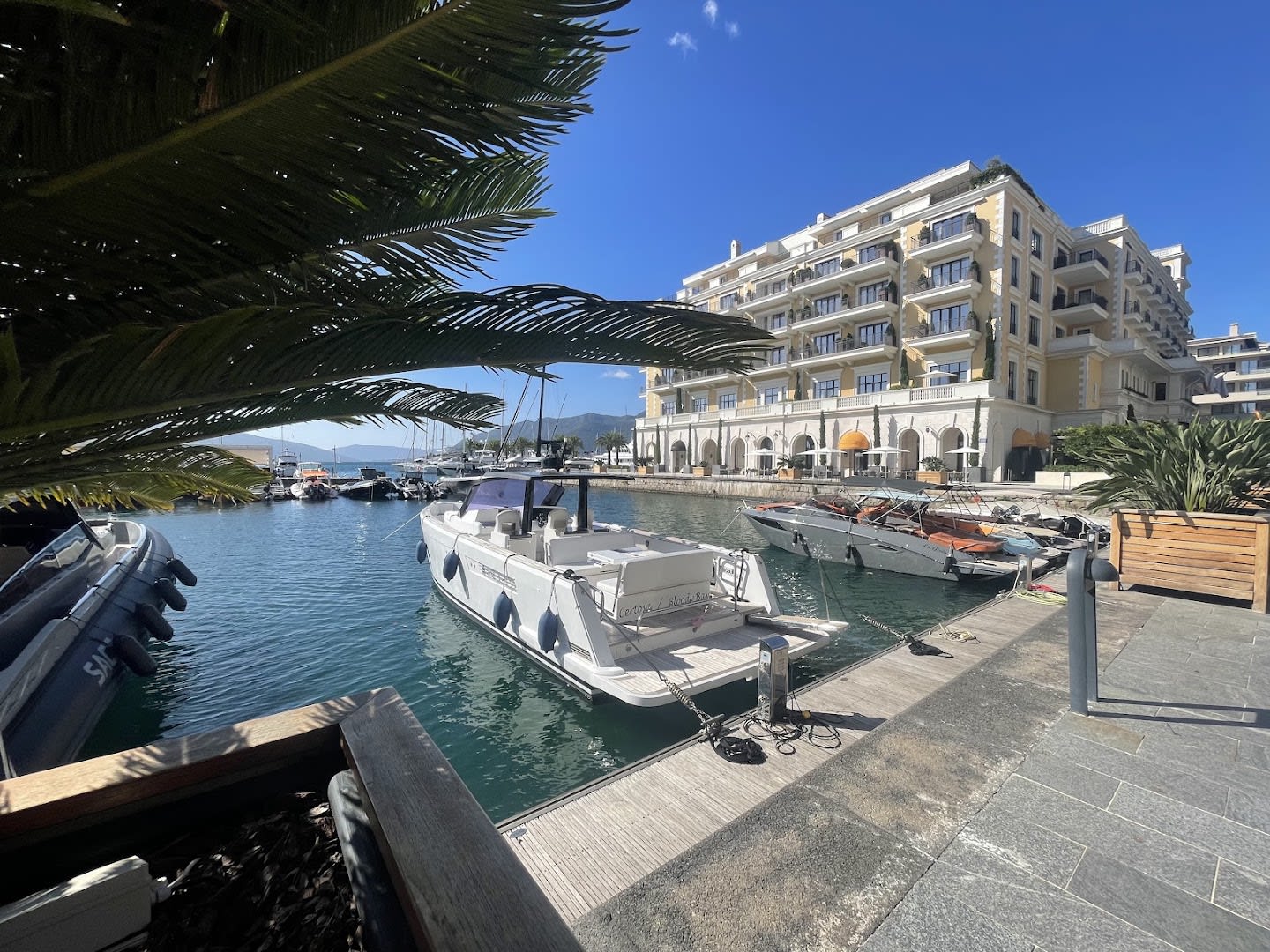 Monte Yachting photo 4
