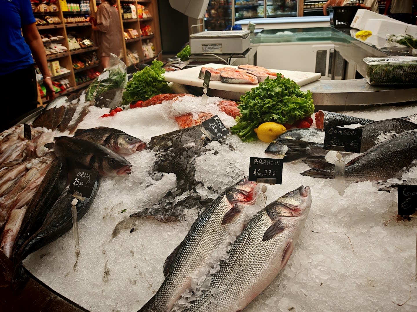 Montefish photo 3