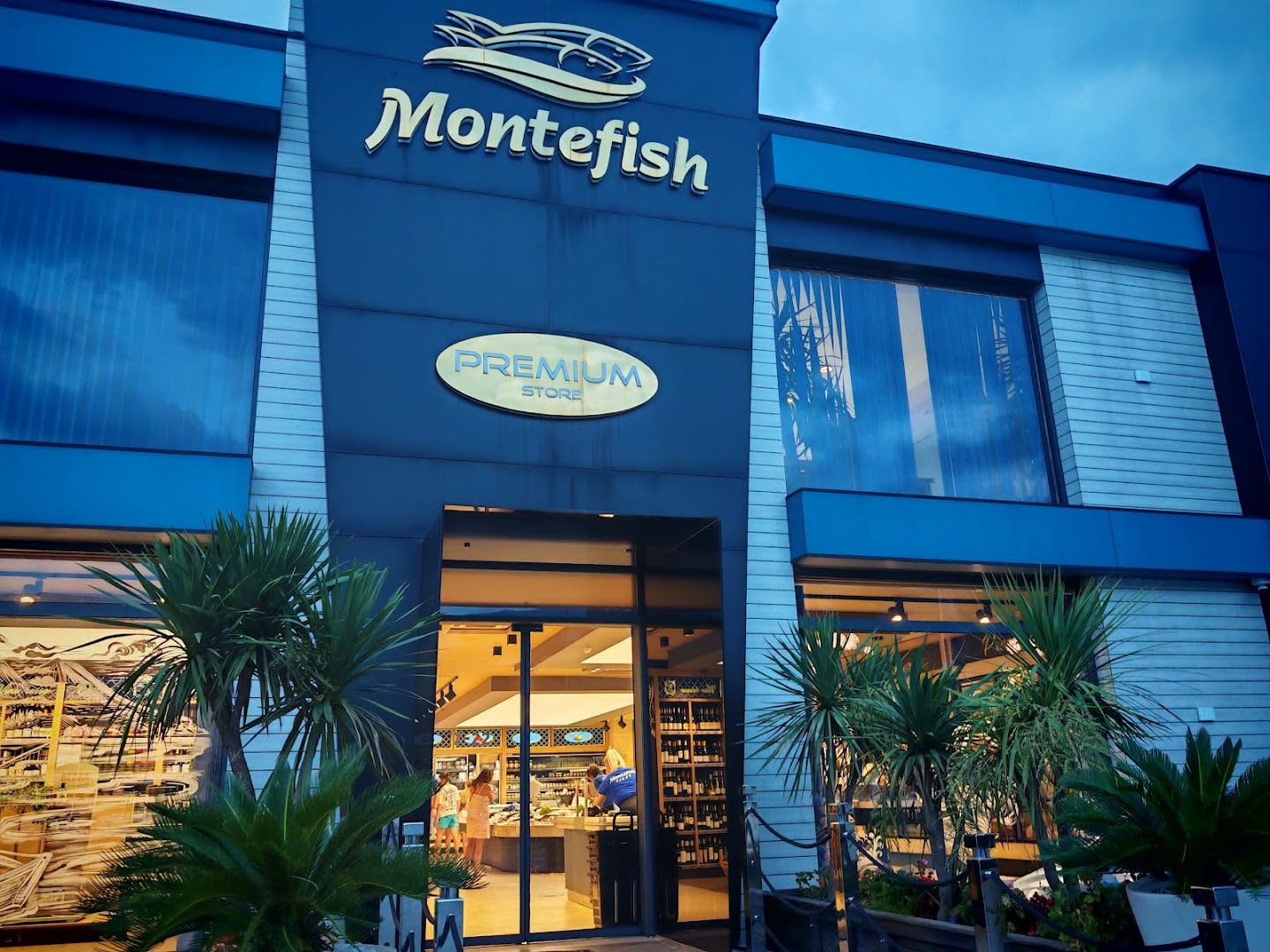 Montefish photo 4