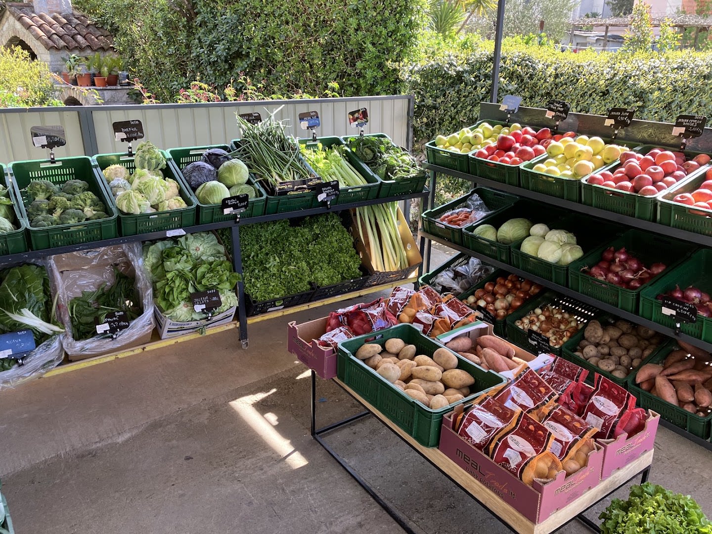 Green Shop photo 2