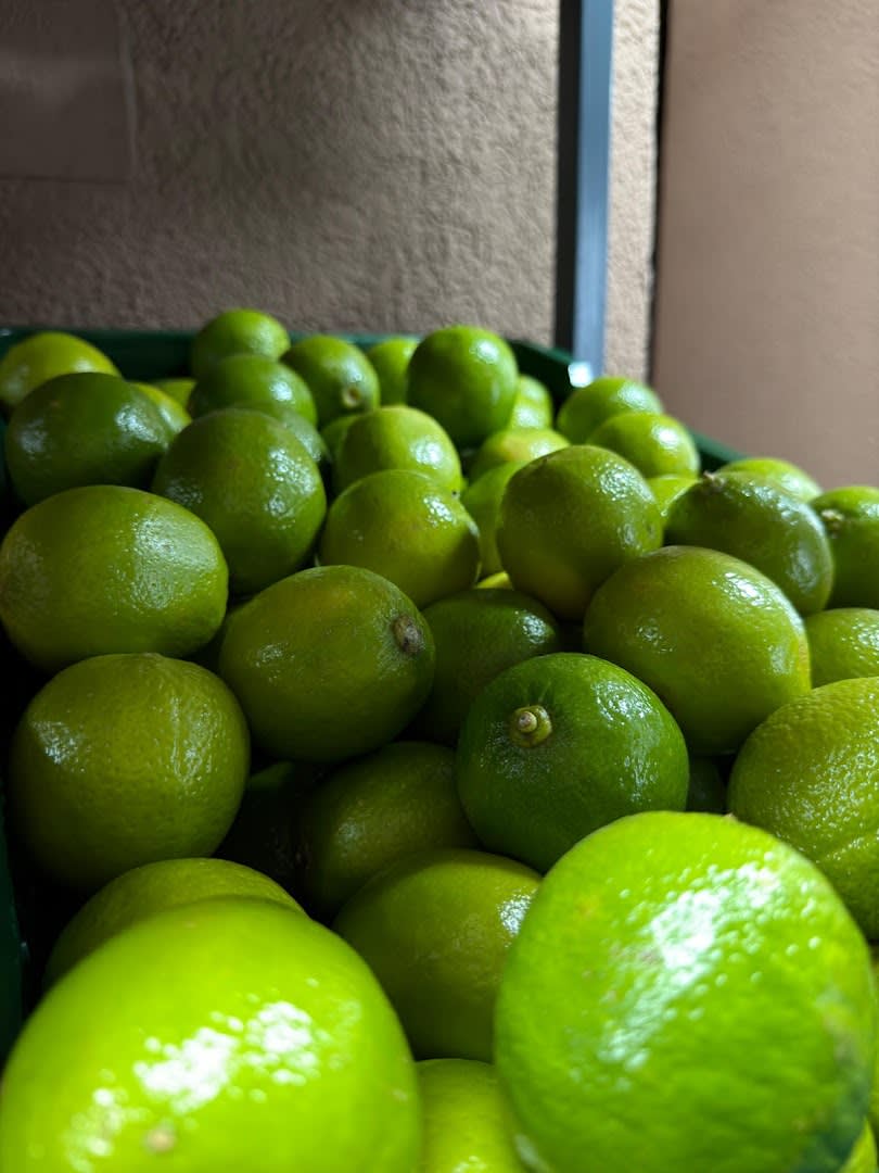 Green Shop photo 4