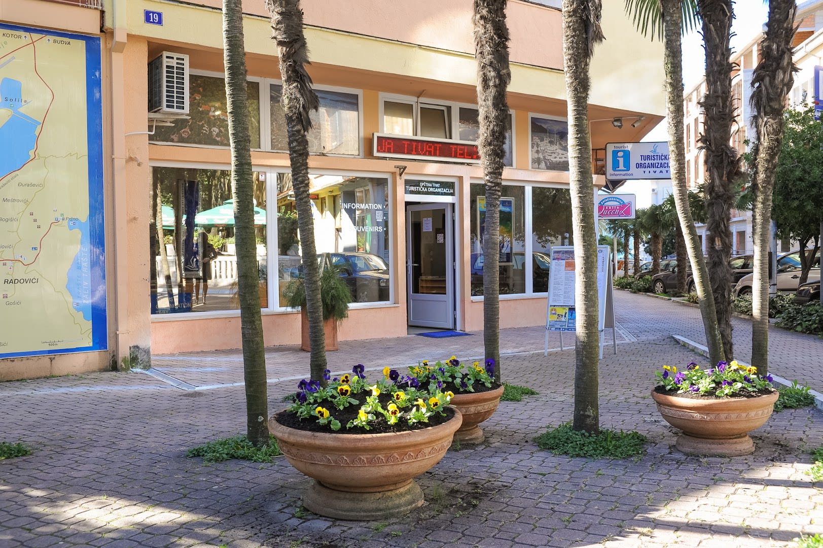 Tourism Organisation of Tivat photo 2