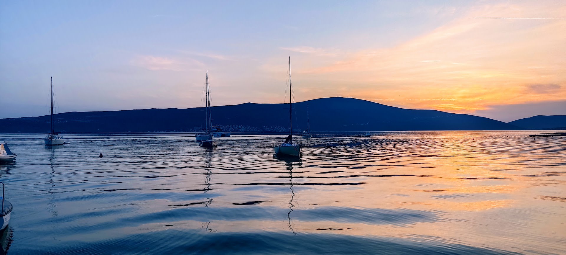 Tourism Organisation of Tivat photo 4