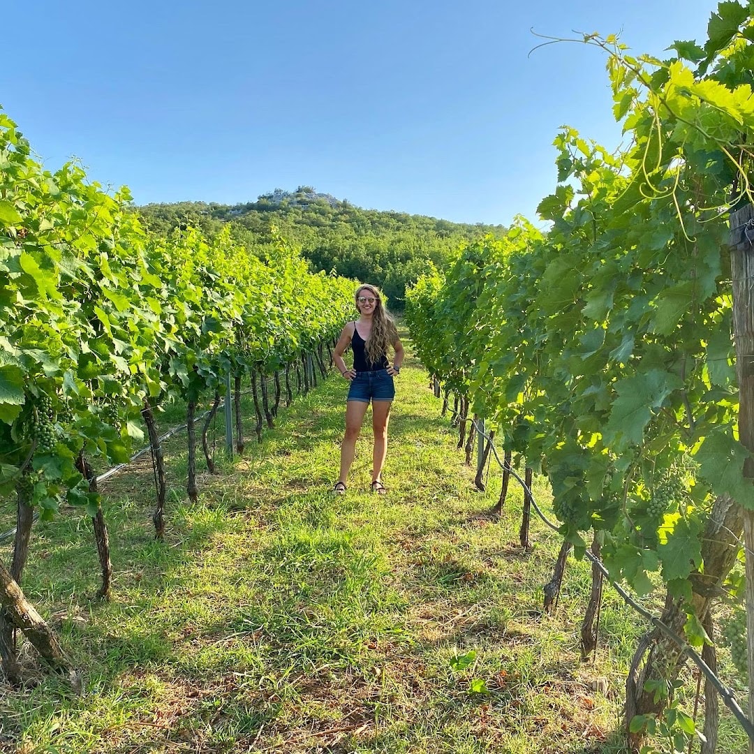 Vinarija Vukićević photo 3