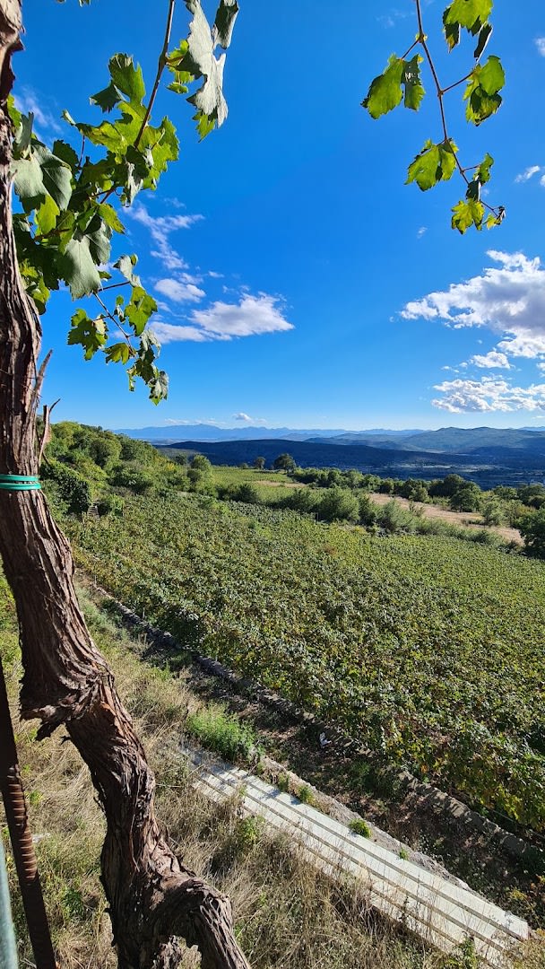 Vinarija Krgović photo 3