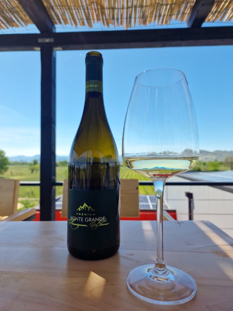 Monte Grande Winery photo 3
