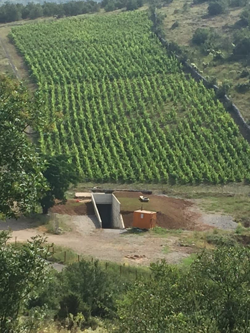 Mola Wine photo 2