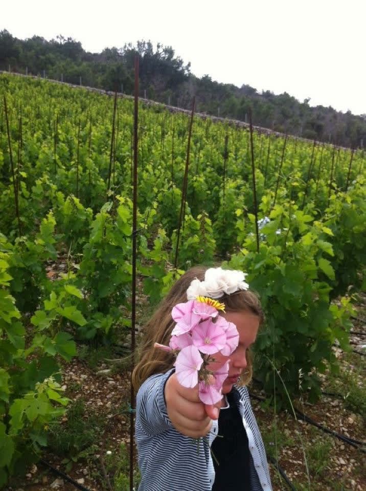 Mola Wine photo 3