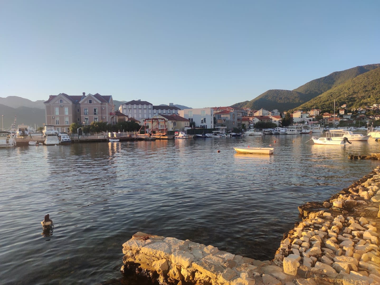Tivat Star photo 4