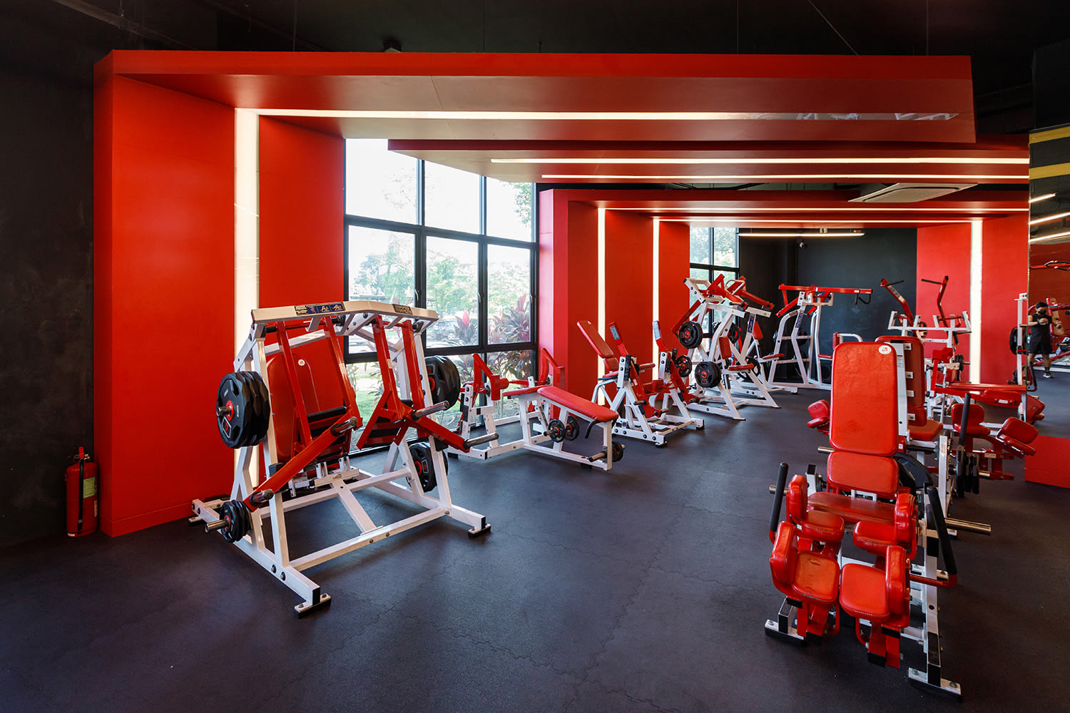 Alpha Health Club photo 2