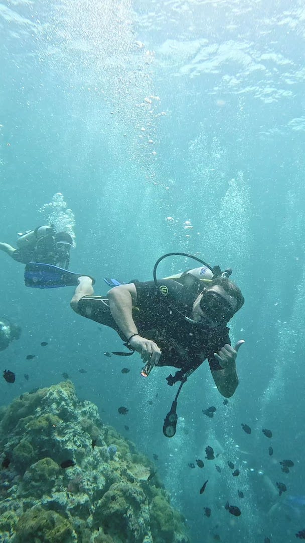 Sea Bees Diving - Phuket photo 1