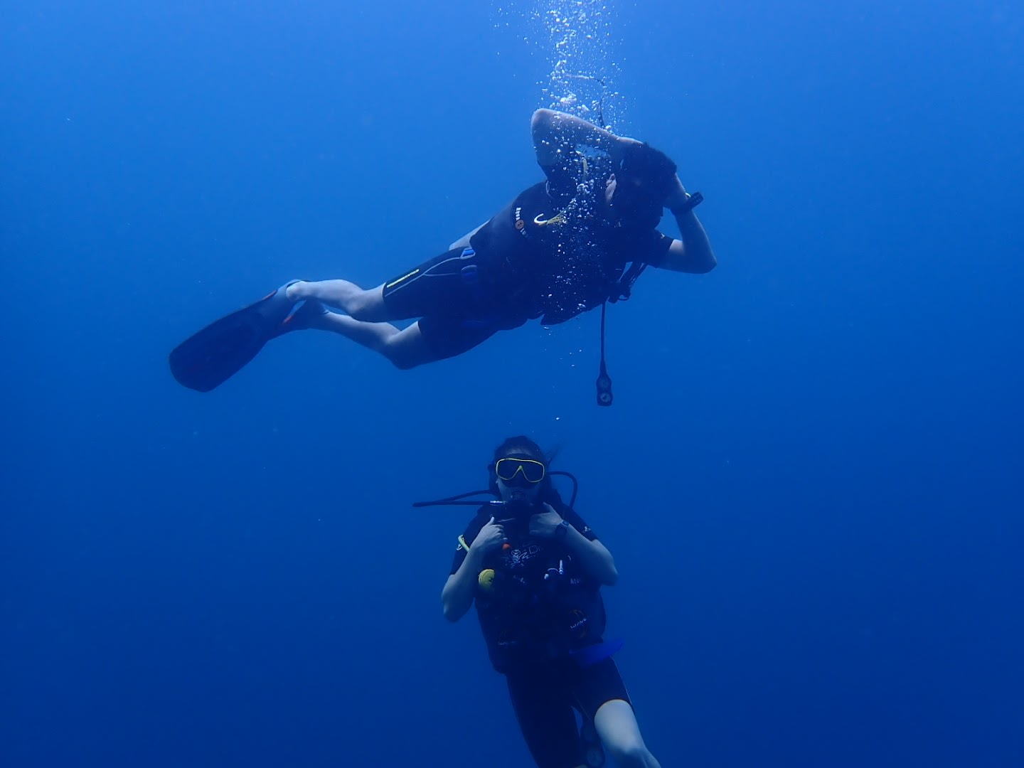 Sea Bees Diving - Phuket photo 2