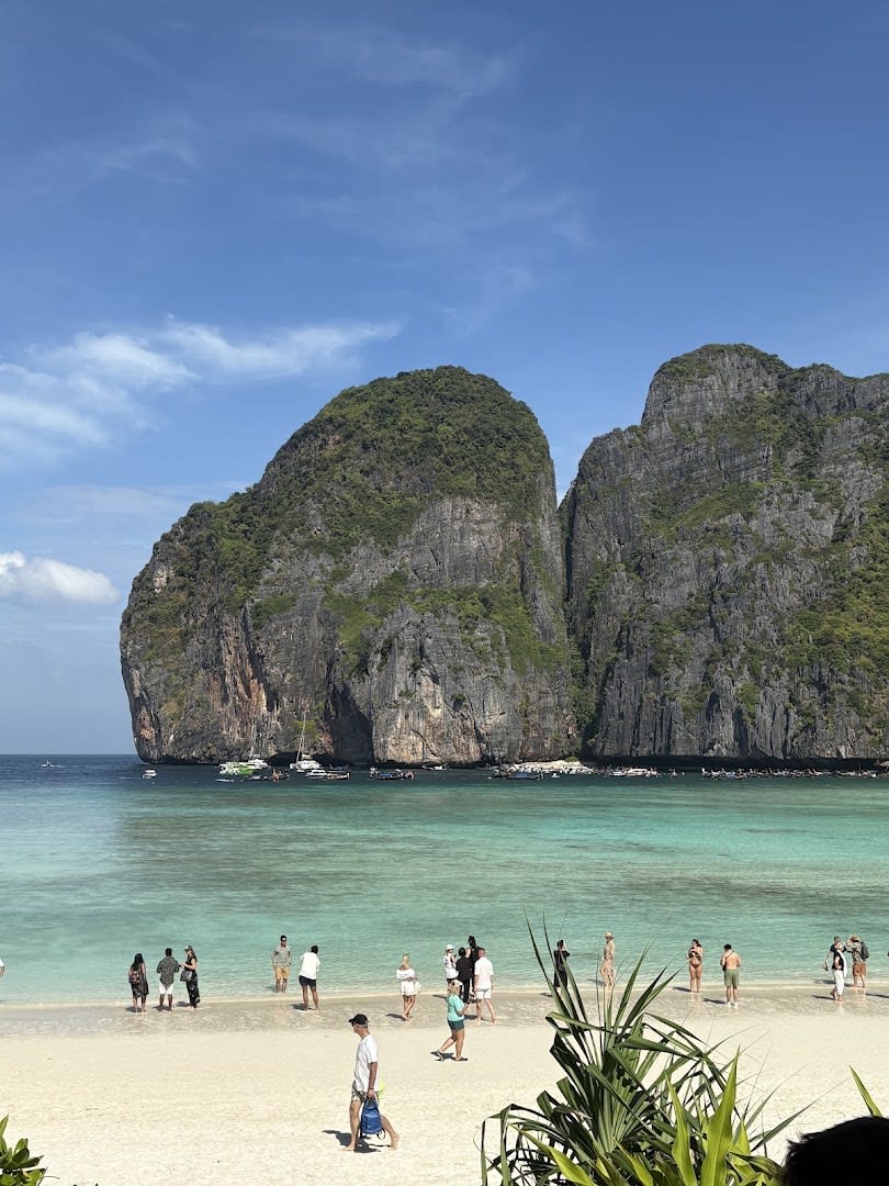 Sea Bees Diving - Phuket photo 4