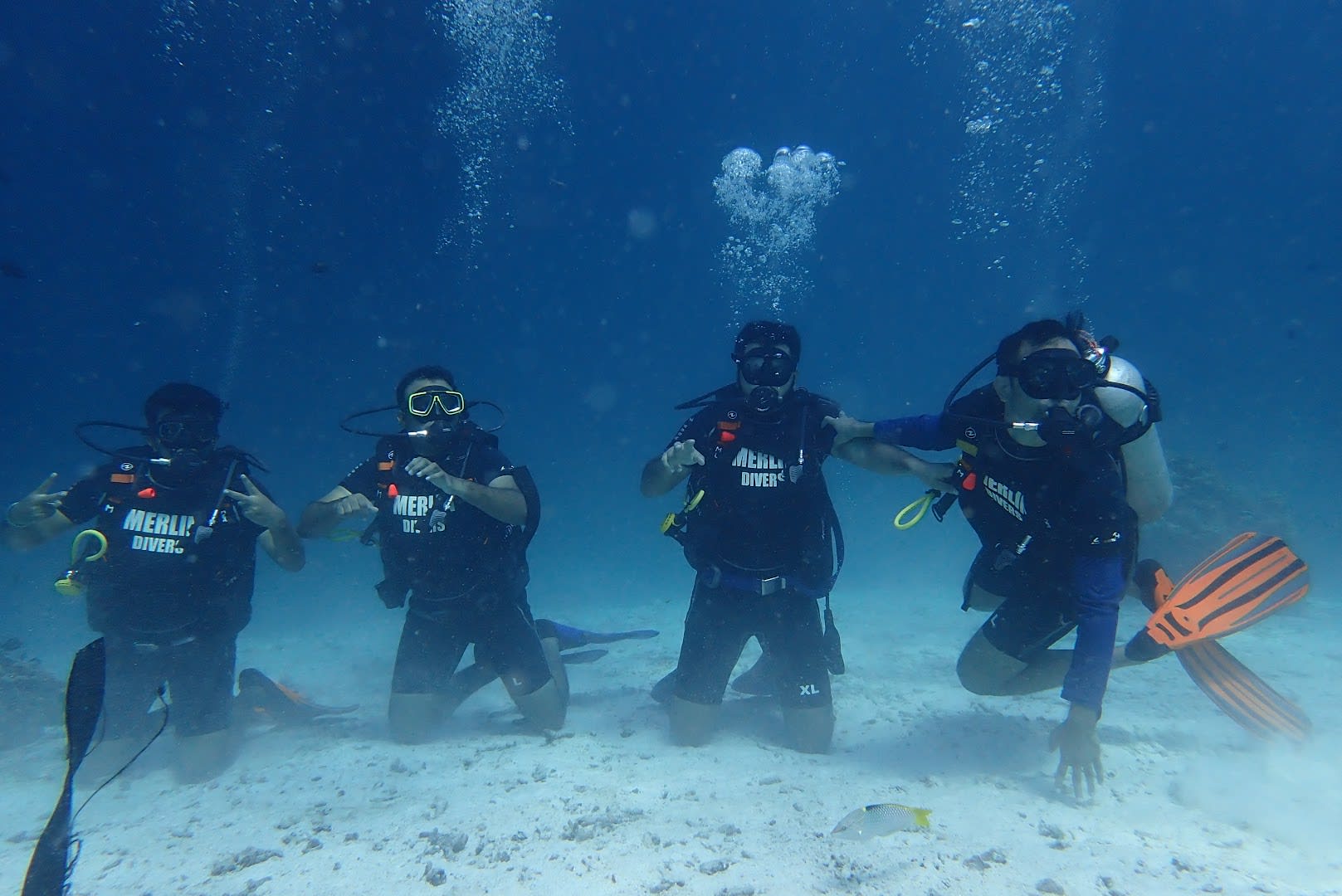 Merlin Divers photo 3
