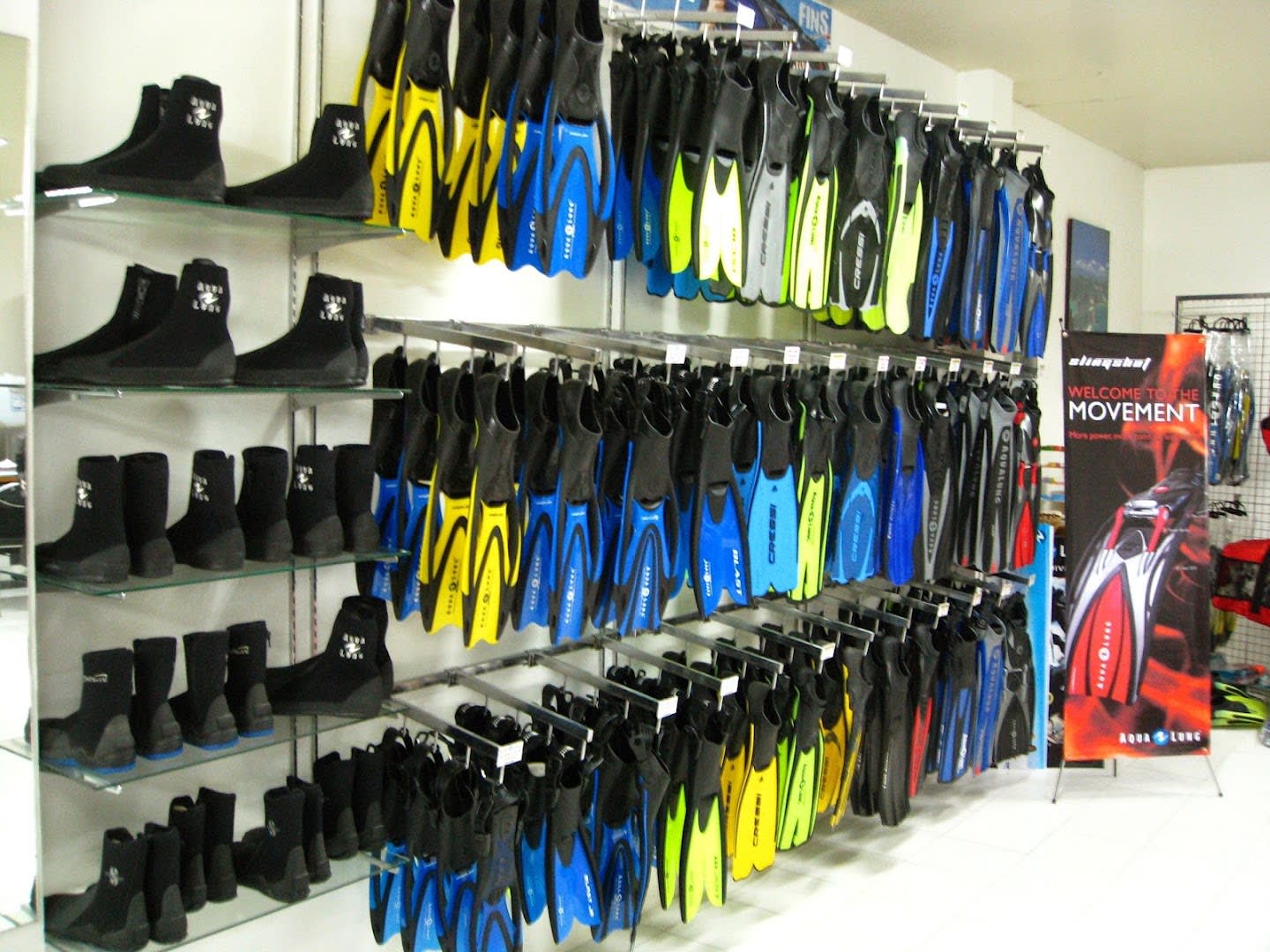 Merlin Divers photo 4