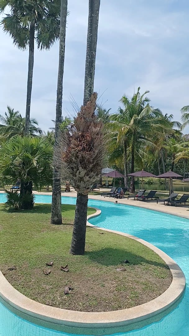 YoPhuket photo 1
