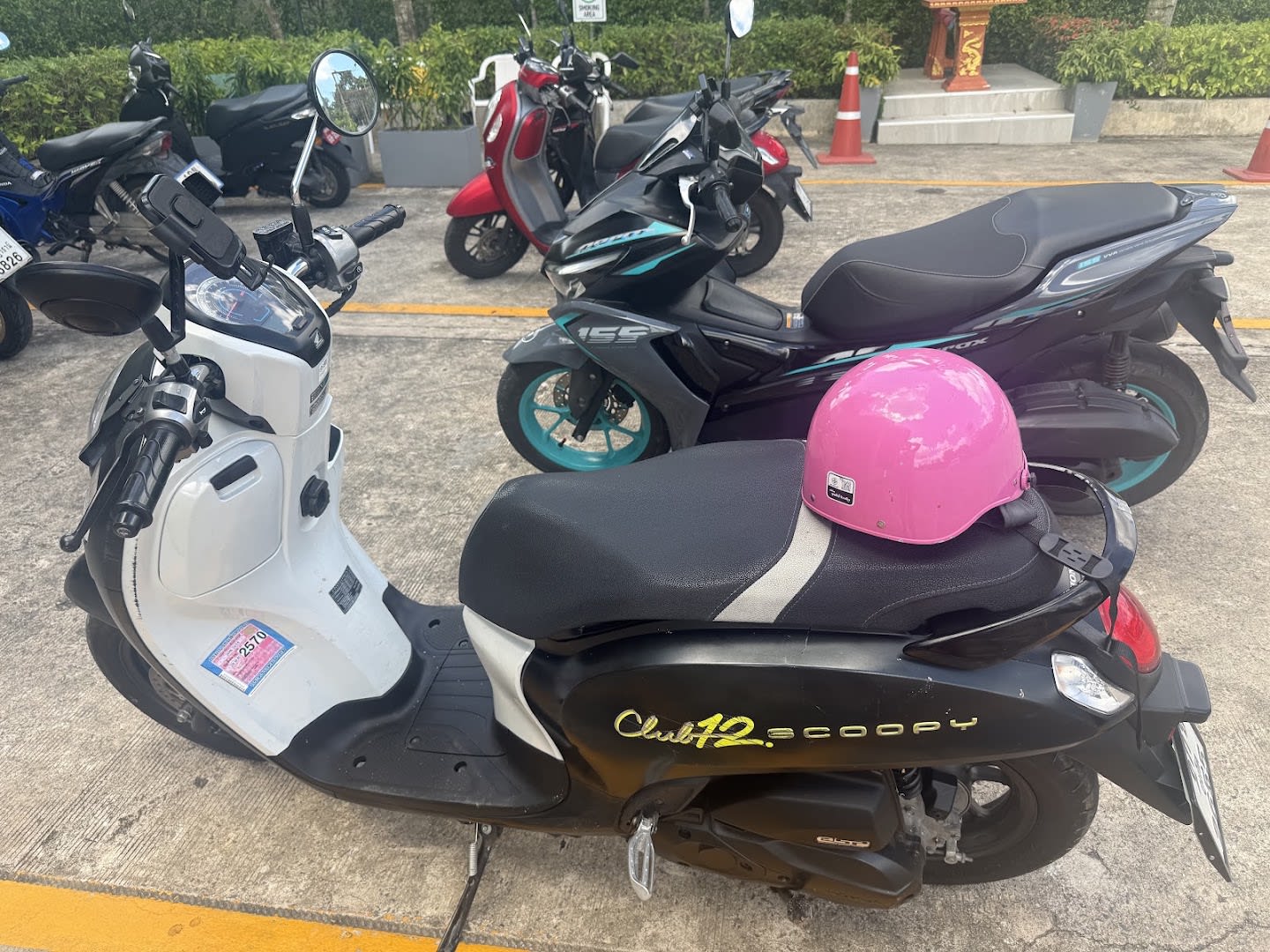 Nick Motorbike and Car Rental photo 3
