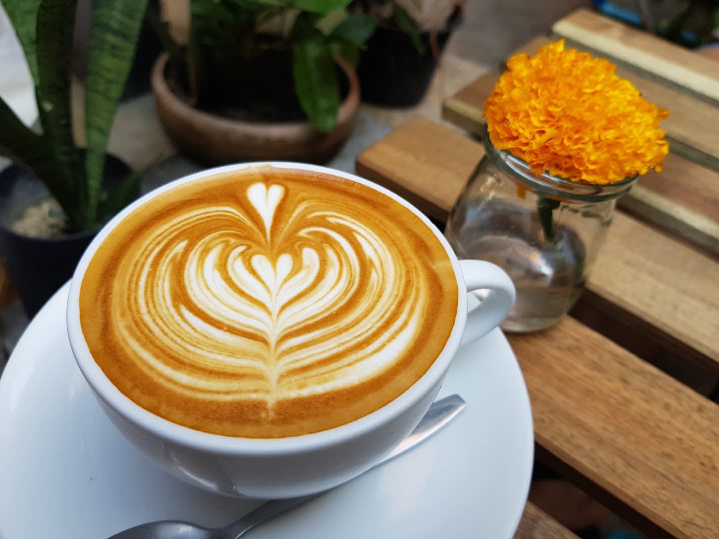 The Shelter Coffee Phuket photo 3
