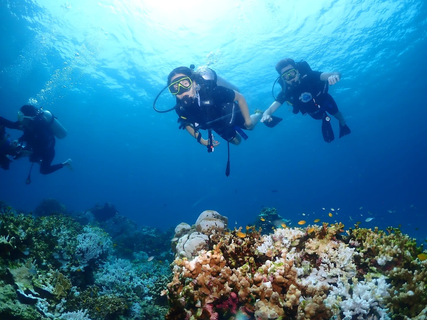 Phuket Dive Center photo 1