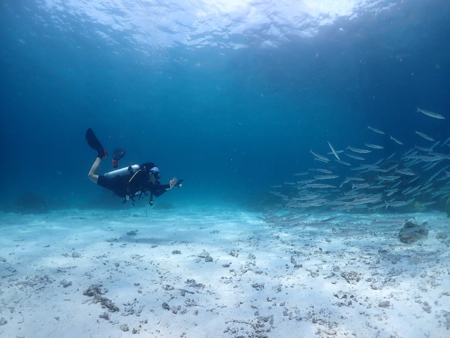 Phuket Dive Center photo 4